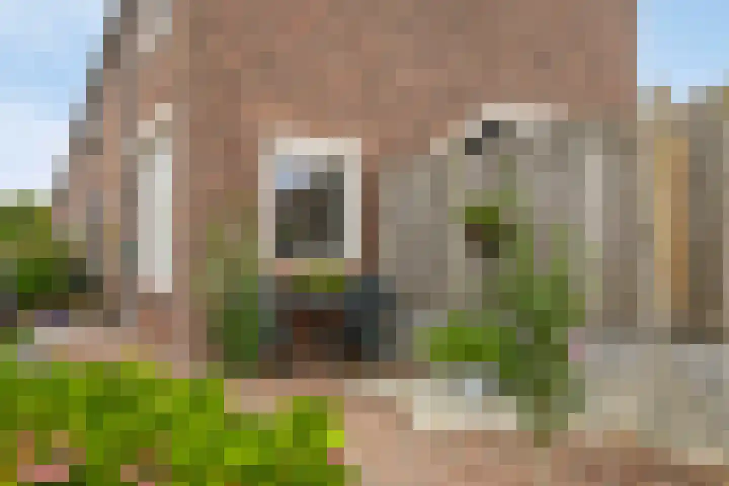 Julianastraat 11 Zuidland thumbnail 24