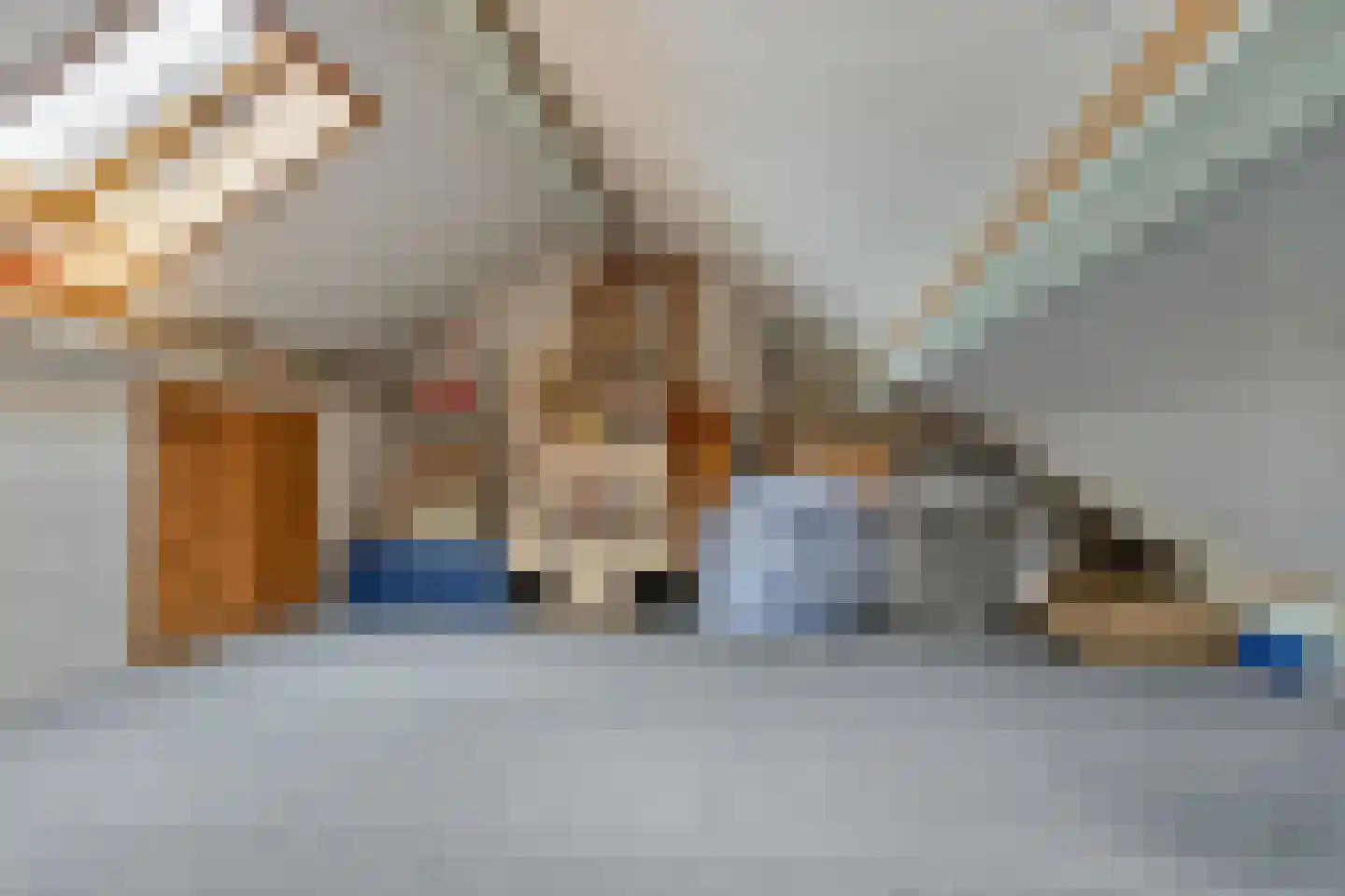 Julianastraat 11 Zuidland thumbnail 25