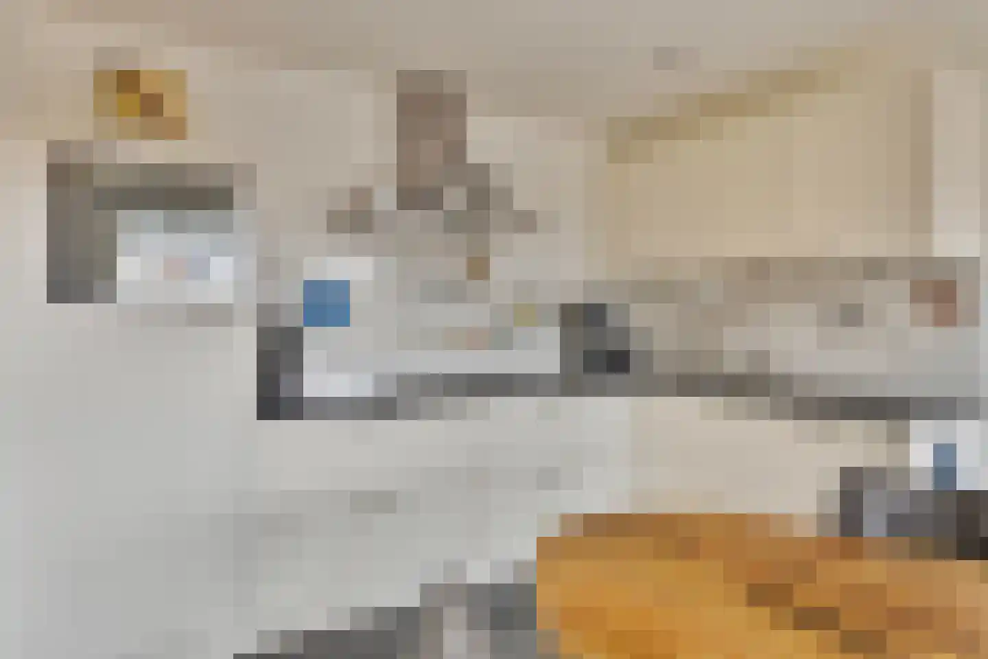 Julianastraat 11 Zuidland thumbnail 4