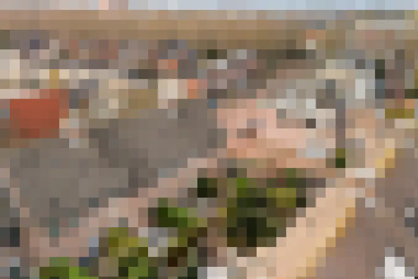 Julianastraat 110 Alphen aan den Rijn thumbnail 47