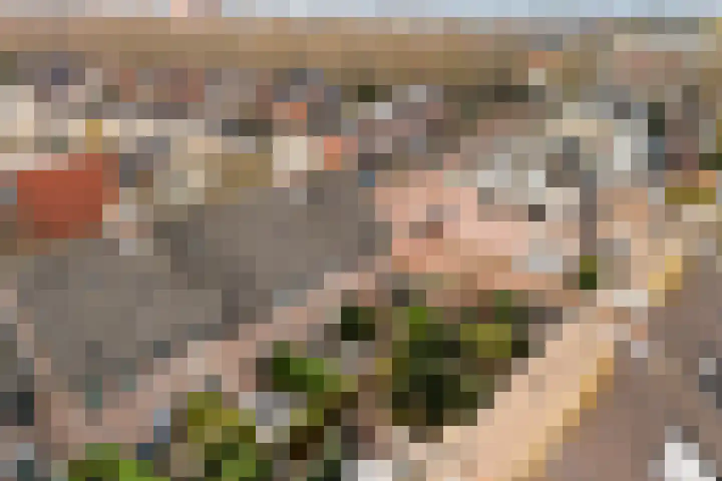 Julianastraat 110 Alphen aan den Rijn thumbnail 60