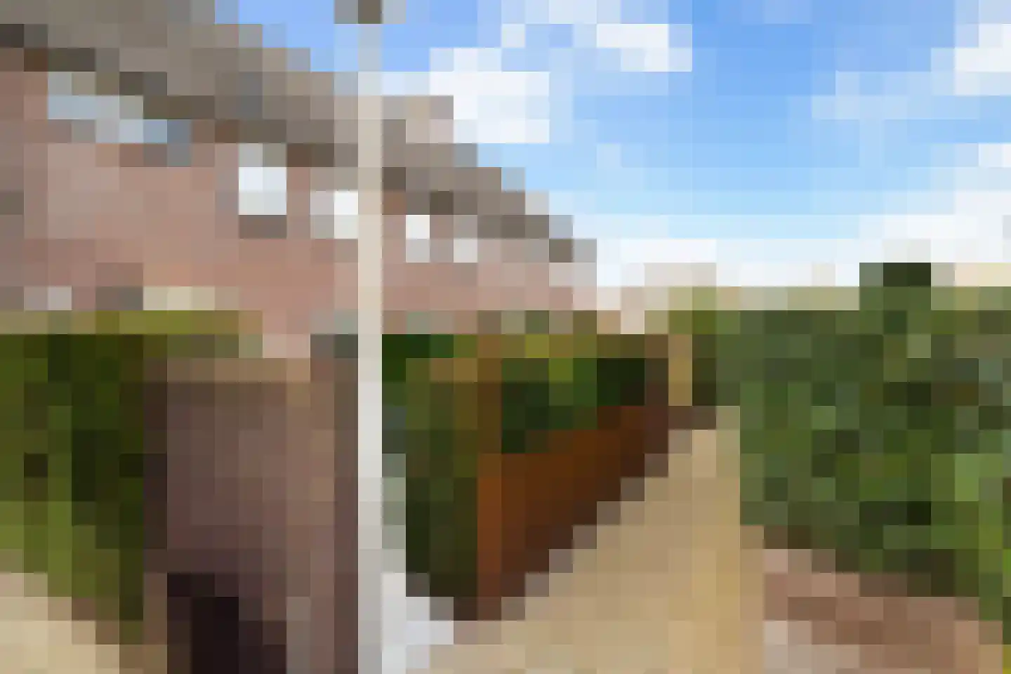 Julianastraat 110 Alphen aan den Rijn thumbnail 9