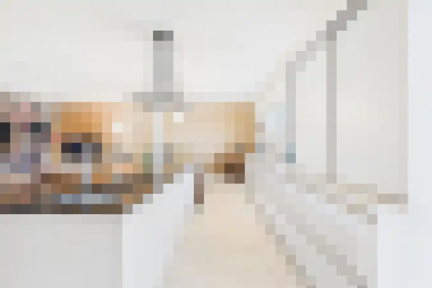 Julianastraat 113 Heikant thumbnail 12
