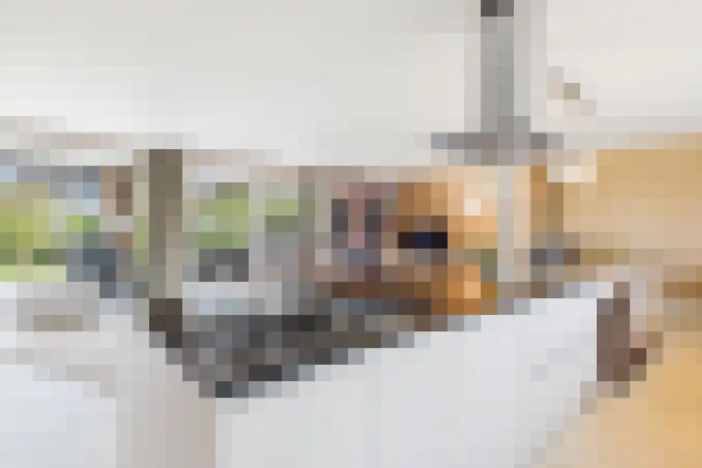 Julianastraat 113 Heikant thumbnail 14