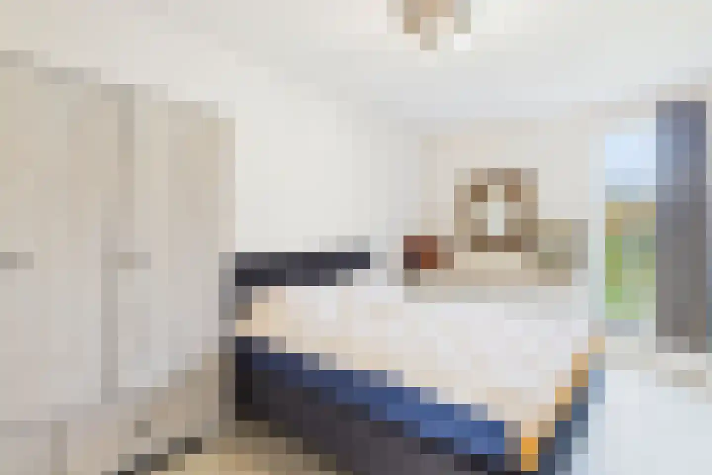 Julianastraat 113 Heikant thumbnail 20