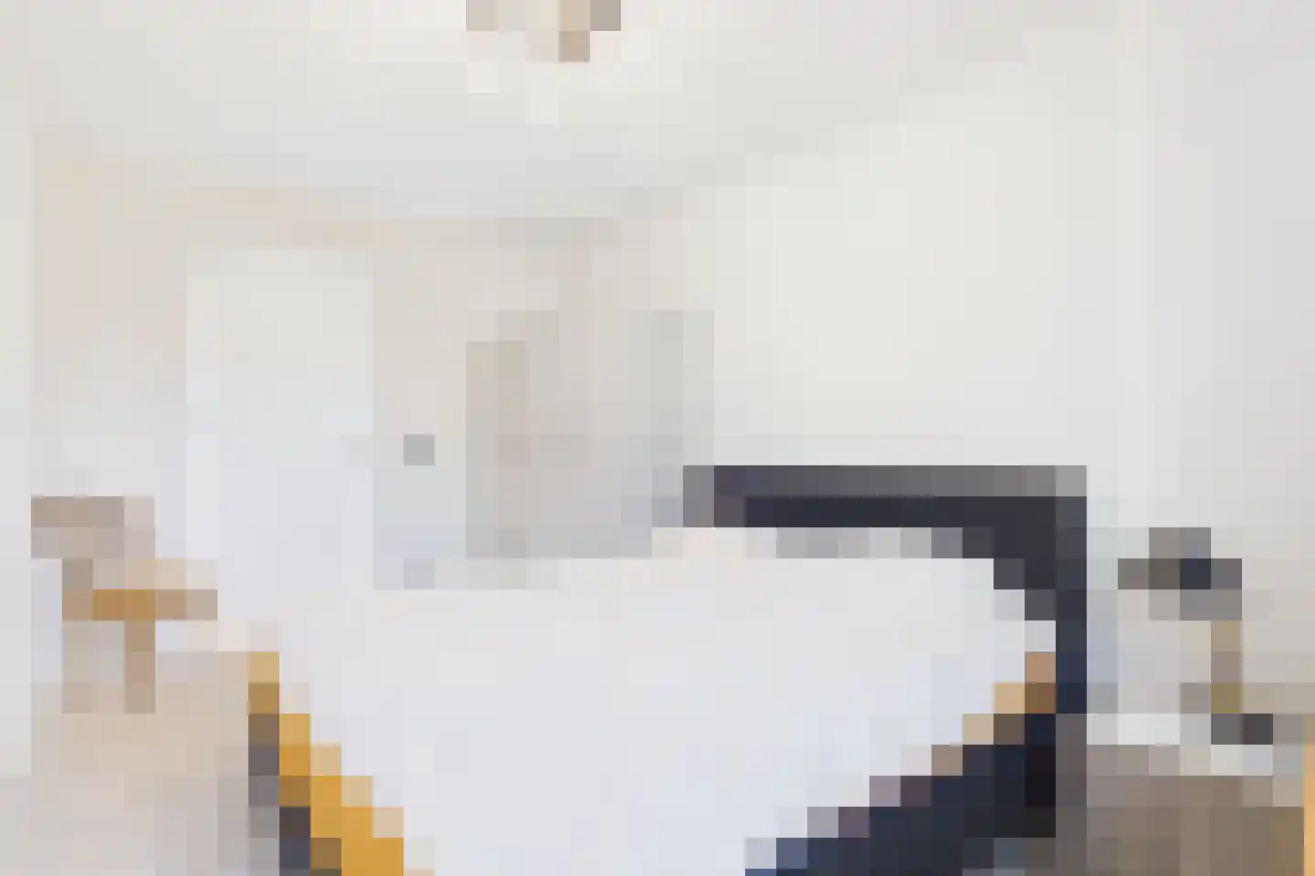 Julianastraat 113 Heikant thumbnail 21