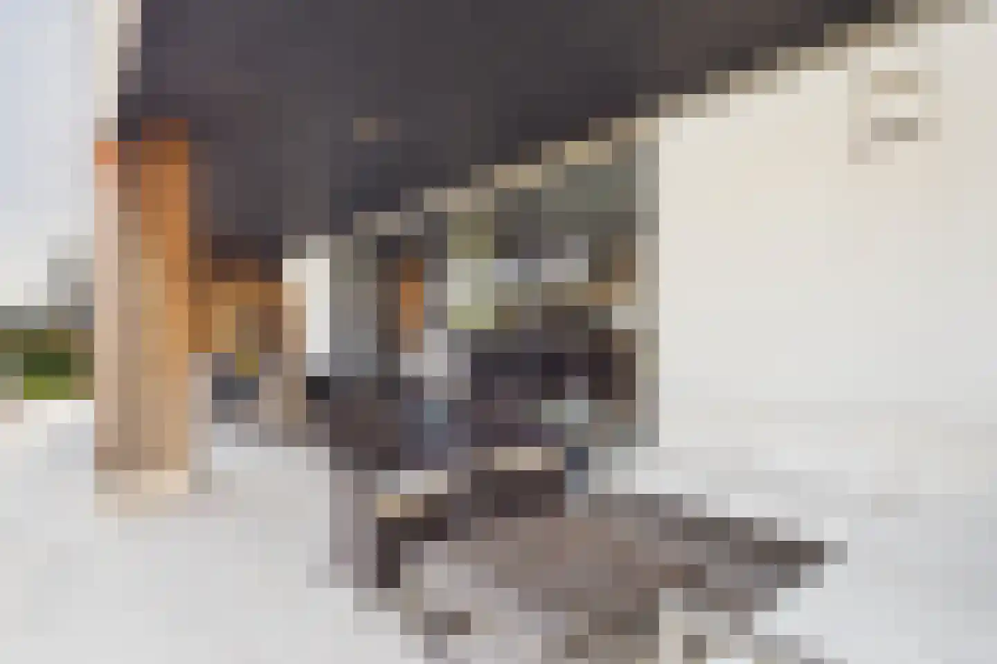 Julianastraat 113 Heikant thumbnail 28