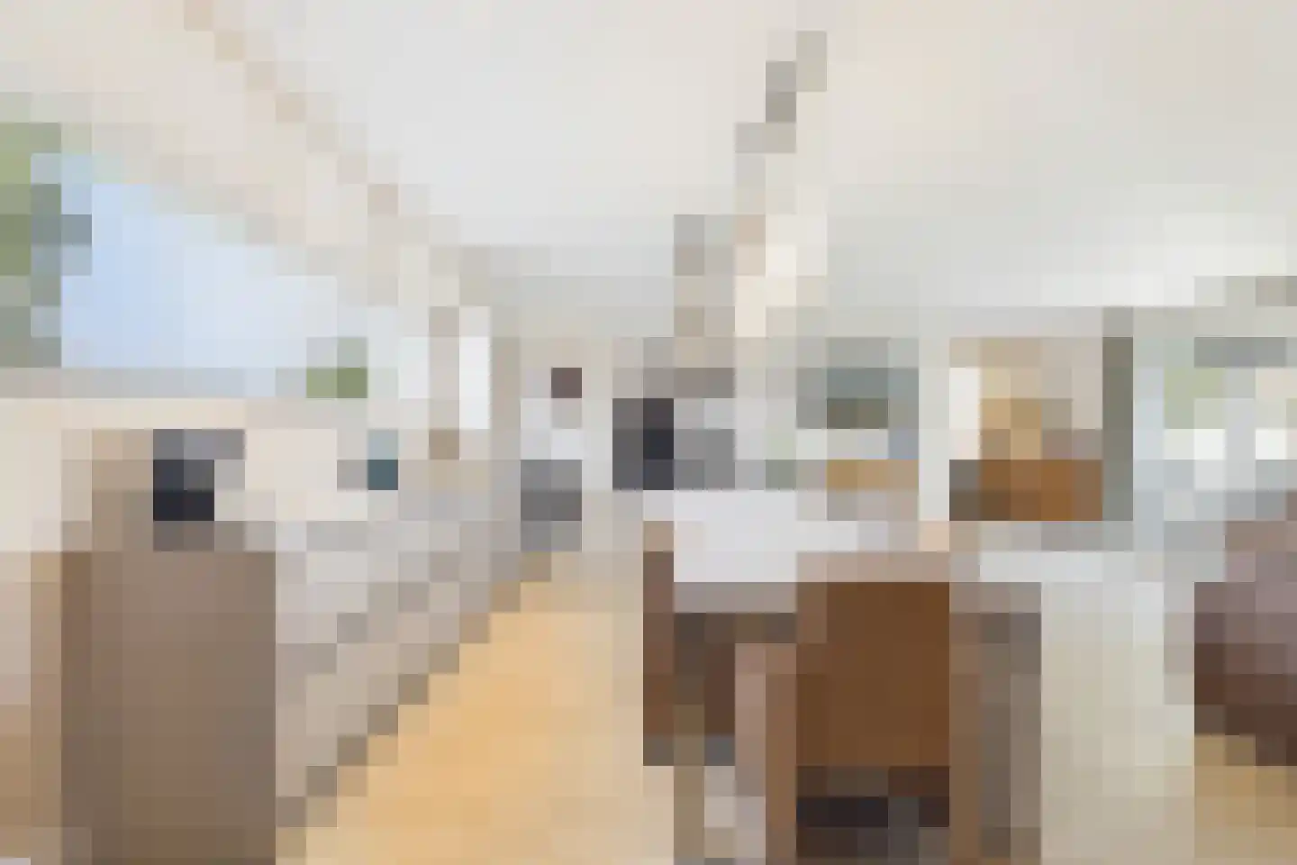 Julianastraat 113 Heikant thumbnail 4