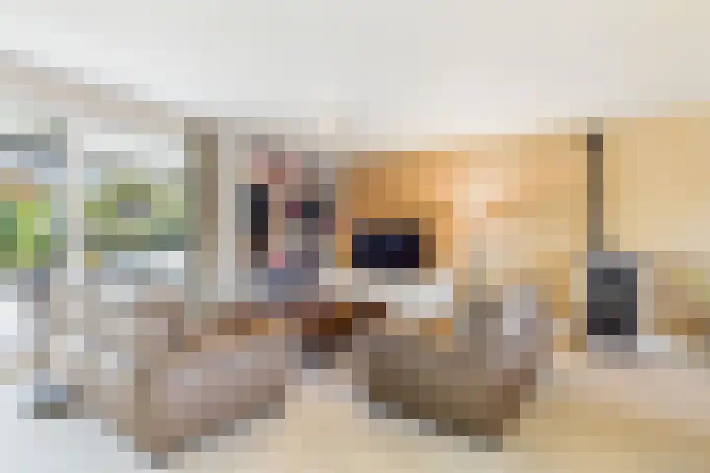 Julianastraat 113 Heikant thumbnail 8