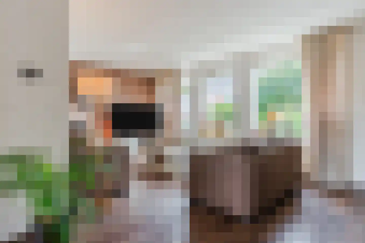Julianastraat 114 Vroomshoop thumbnail 10