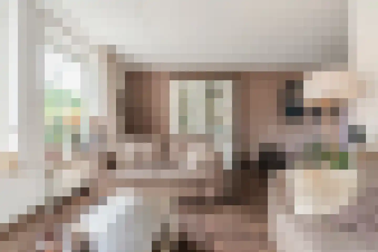 Julianastraat 114 Vroomshoop thumbnail 12