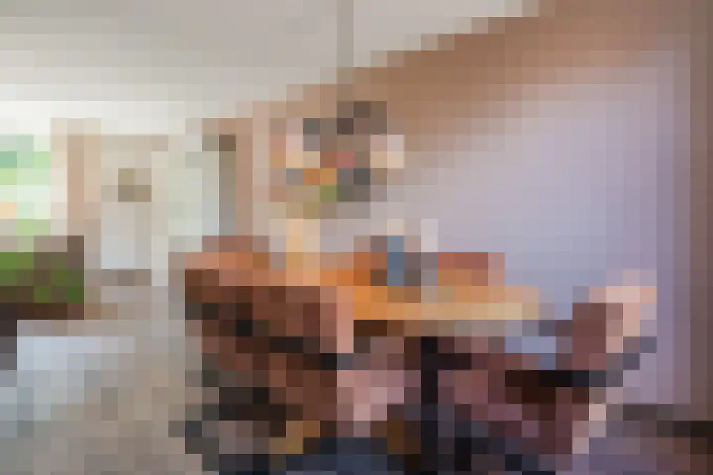 Julianastraat 114 Vroomshoop thumbnail 13