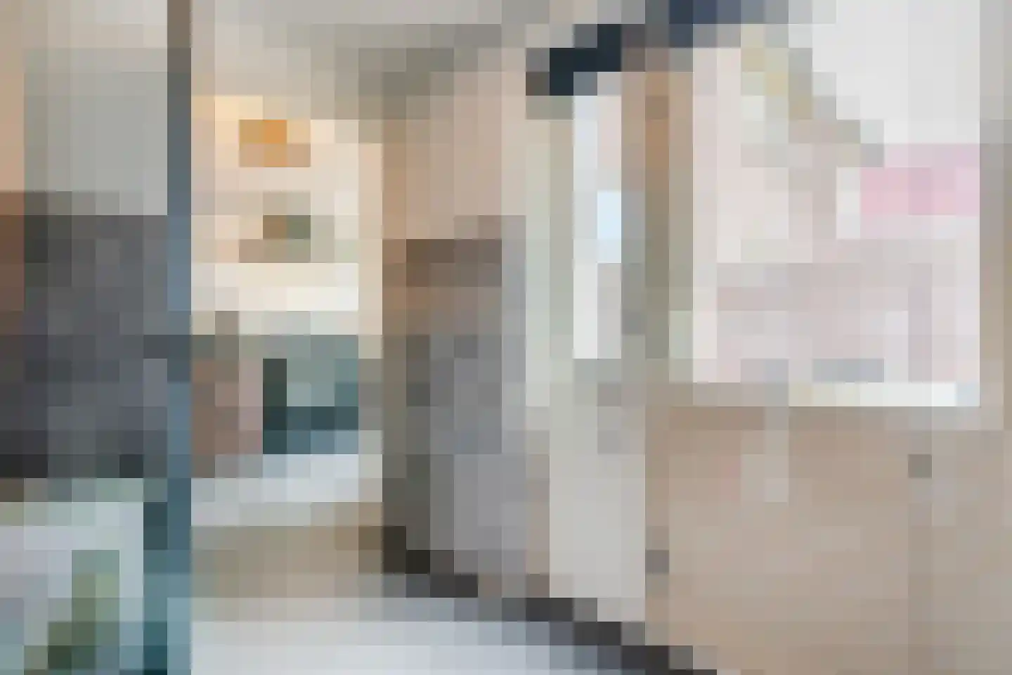 Julianastraat 114 Vroomshoop thumbnail 19