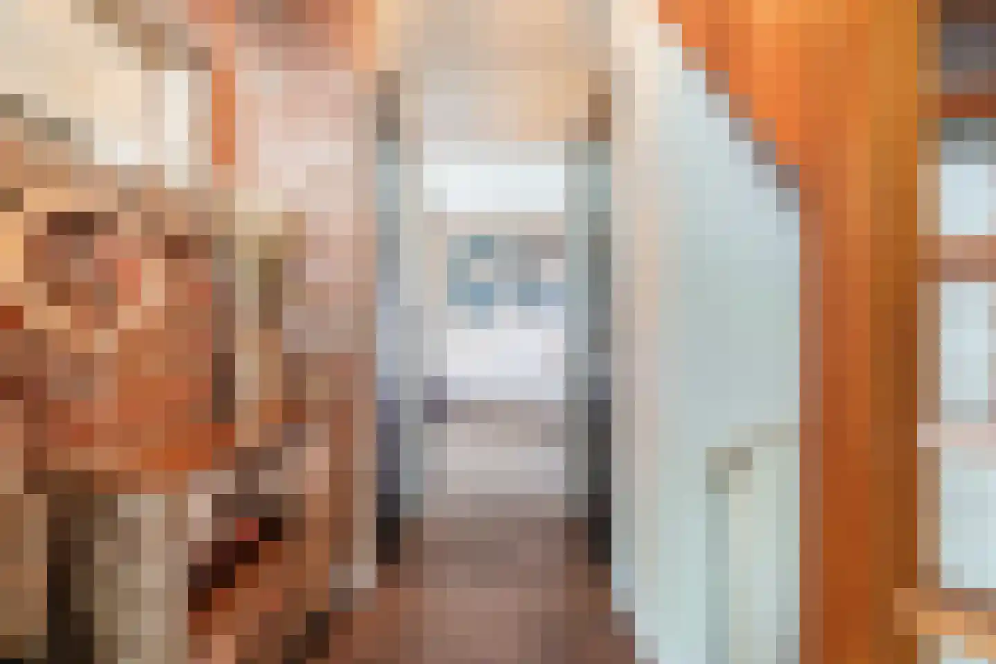 Julianastraat 114 Vroomshoop thumbnail 21