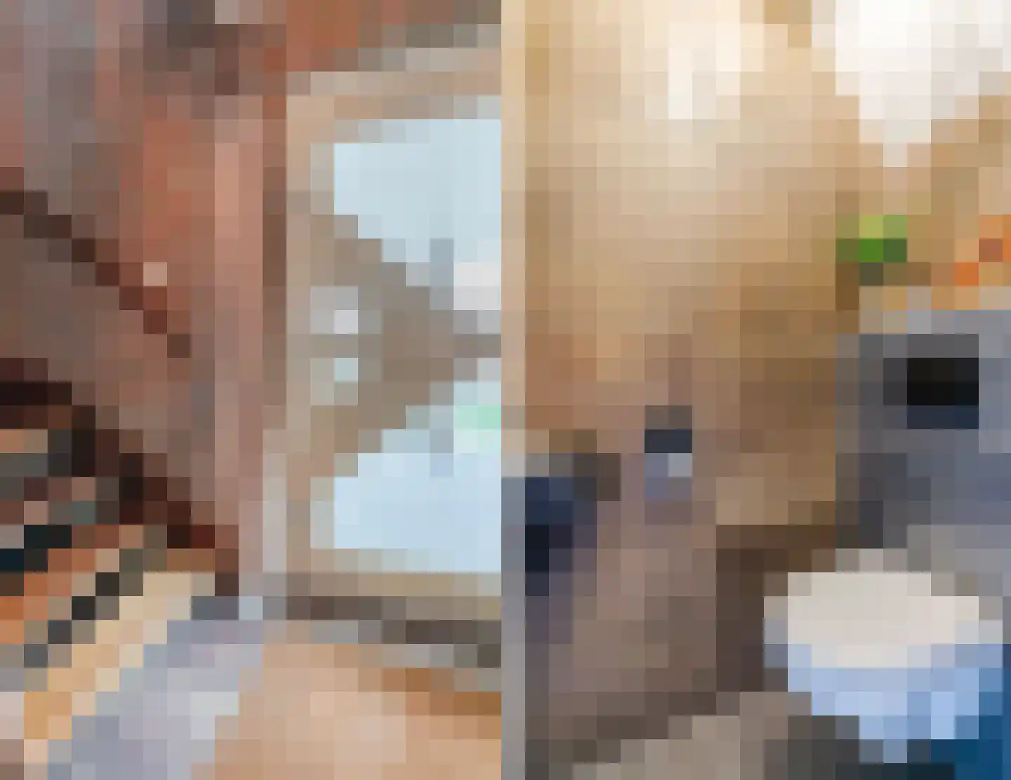 Julianastraat 114 Vroomshoop thumbnail 22