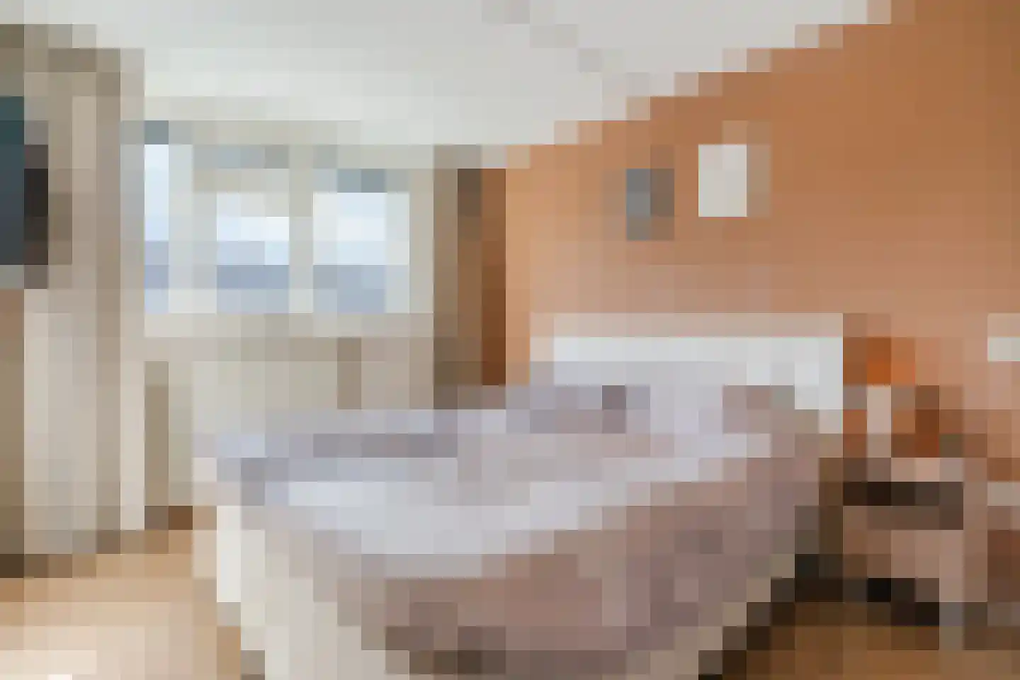 Julianastraat 114 Vroomshoop thumbnail 23