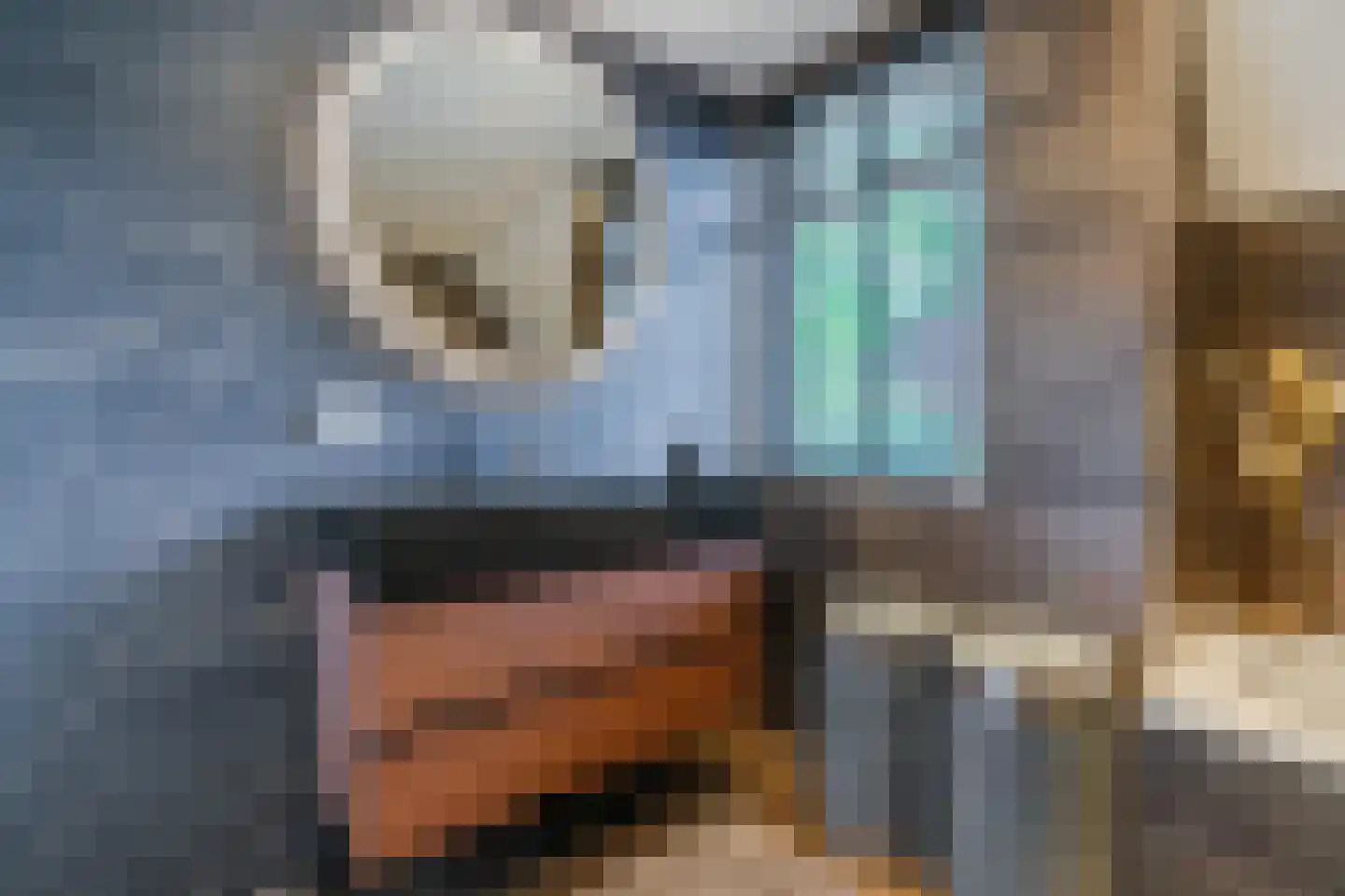 Julianastraat 114 Vroomshoop thumbnail 28