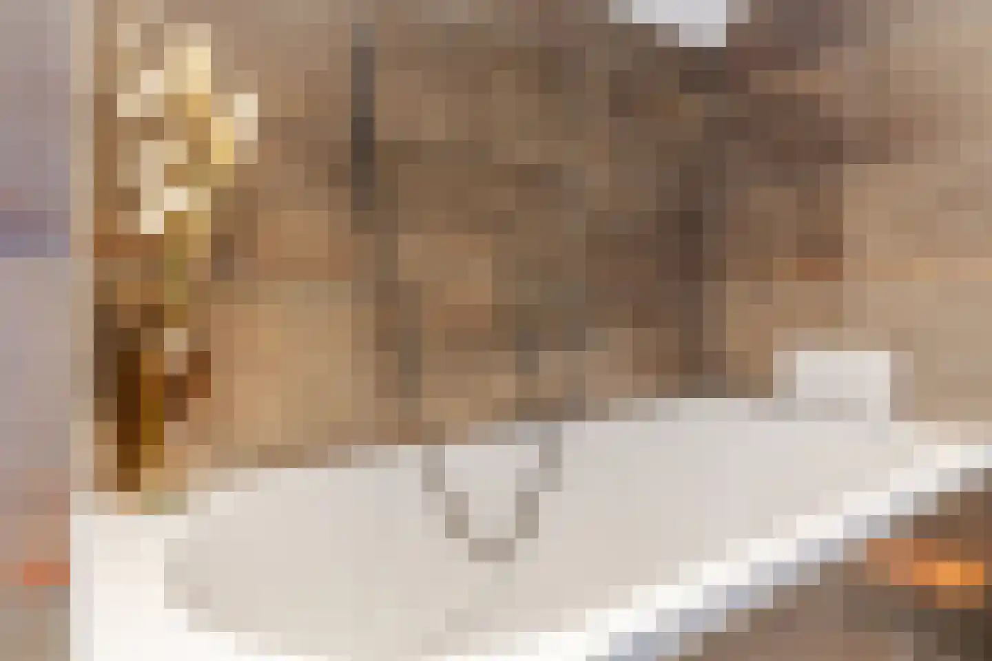 Julianastraat 114 Vroomshoop thumbnail 29