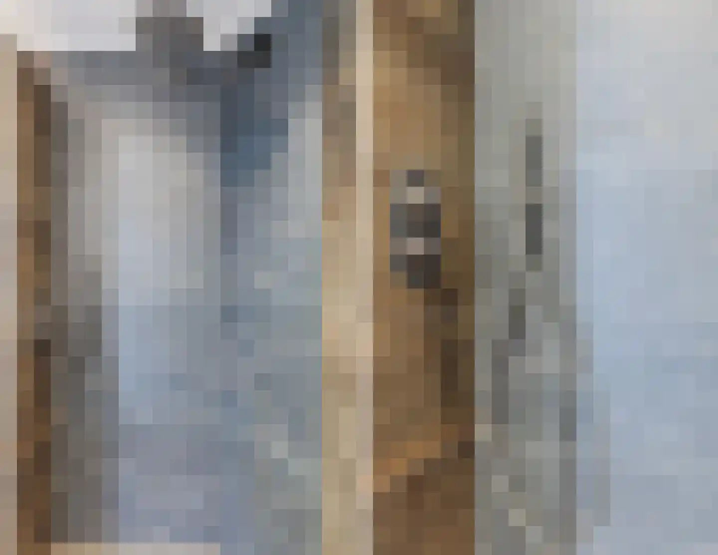 Julianastraat 114 Vroomshoop thumbnail 30