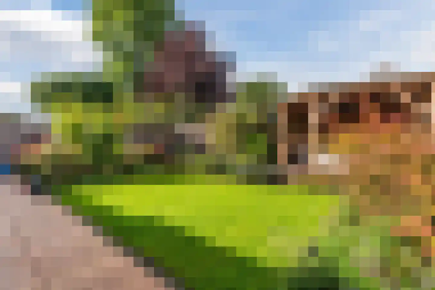 Julianastraat 114 Vroomshoop thumbnail 33