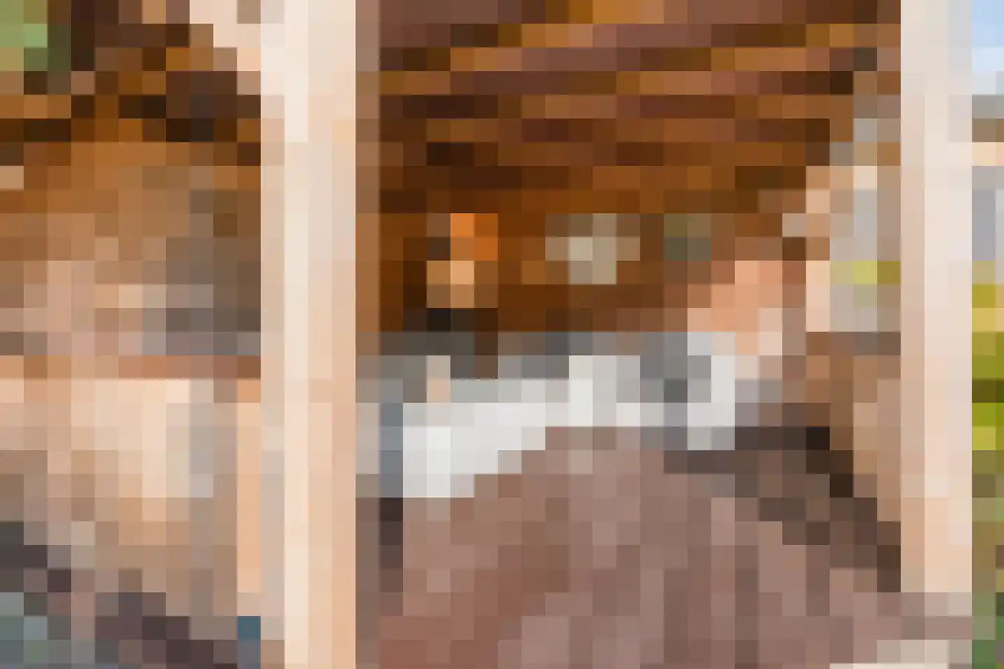Julianastraat 114 Vroomshoop thumbnail 34