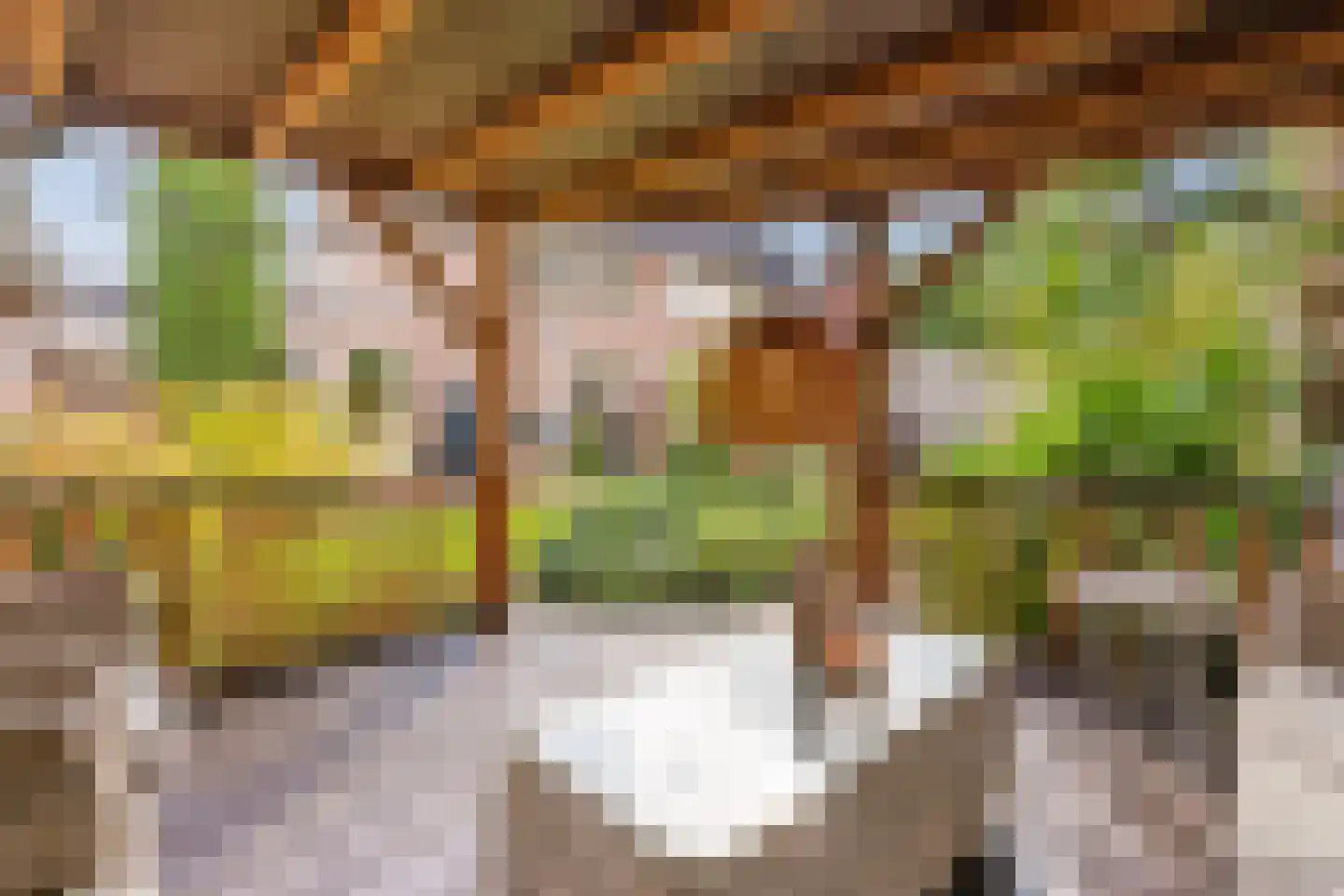 Julianastraat 114 Vroomshoop thumbnail 35