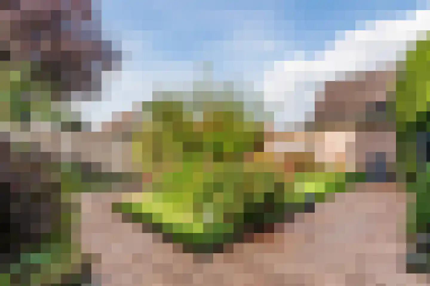 Julianastraat 114 Vroomshoop thumbnail 36