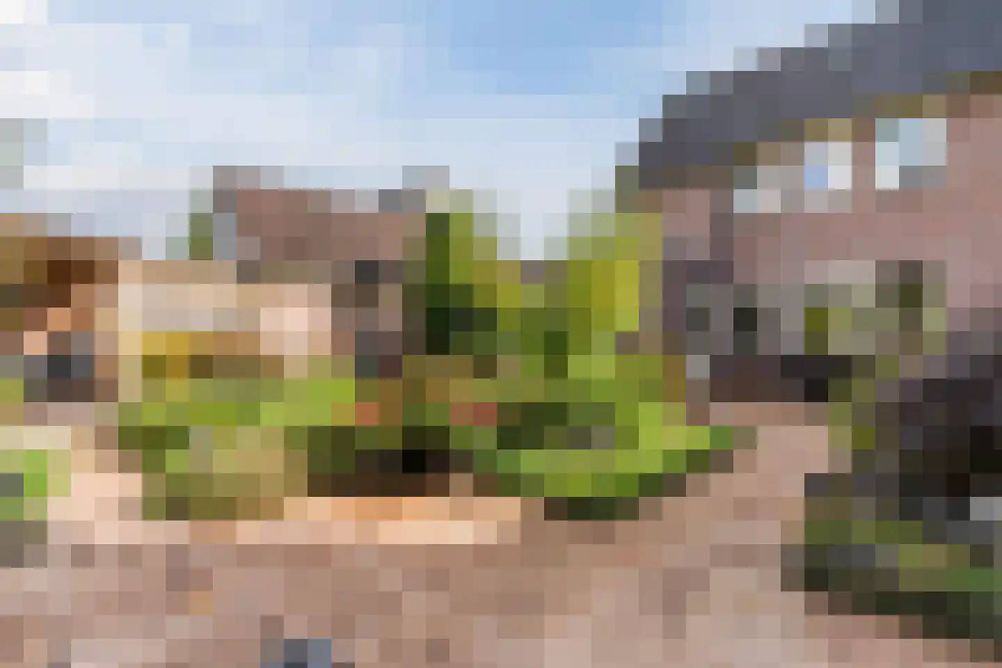 Julianastraat 114 Vroomshoop thumbnail 37