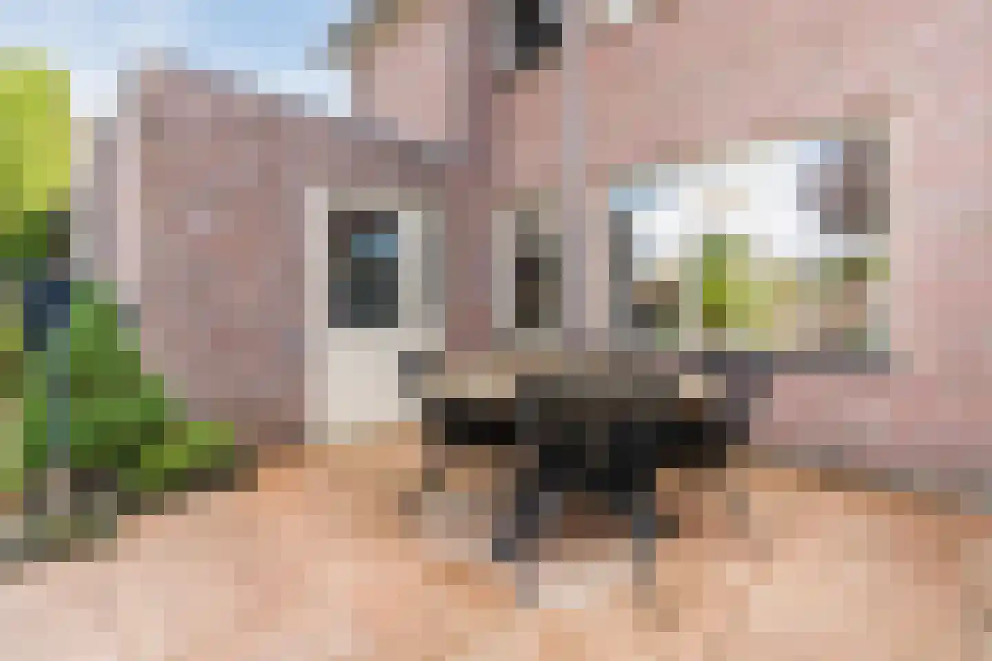 Julianastraat 114 Vroomshoop thumbnail 38