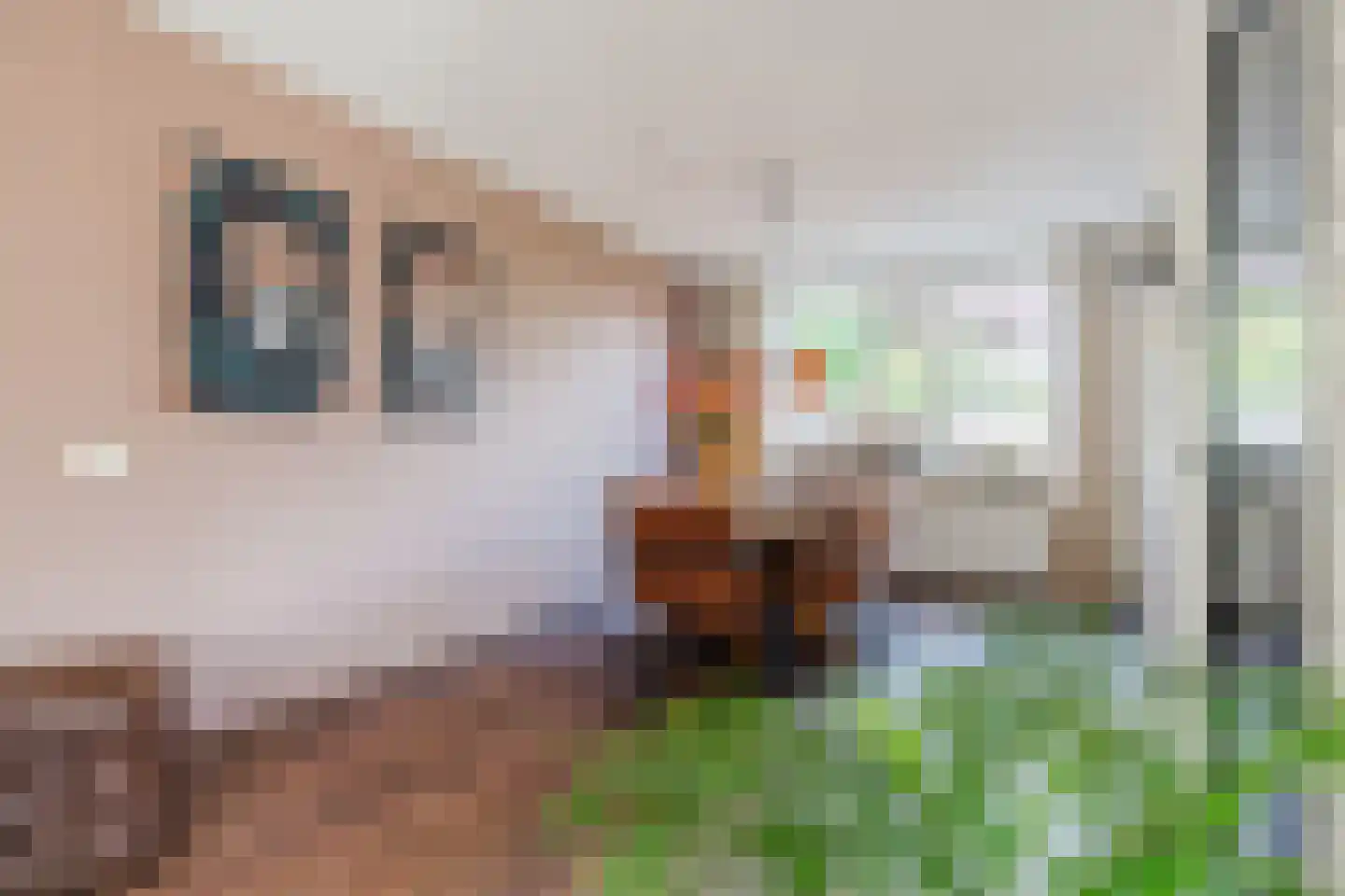 Julianastraat 114 Vroomshoop thumbnail 4