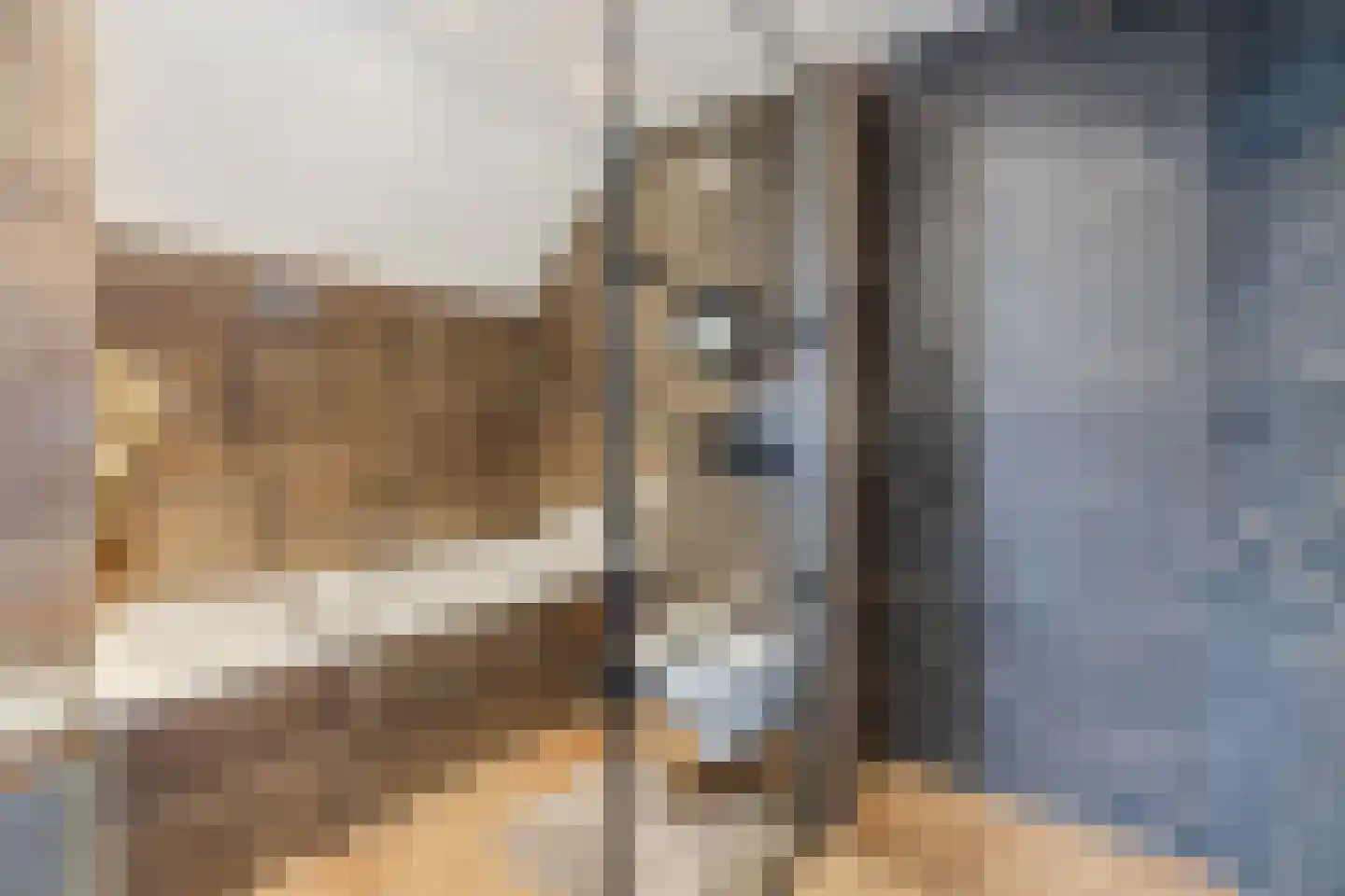 Julianastraat 114 Vroomshoop thumbnail 6