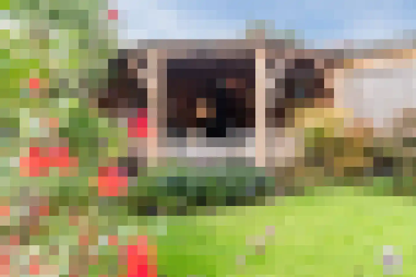 Julianastraat 114 Vroomshoop thumbnail 8