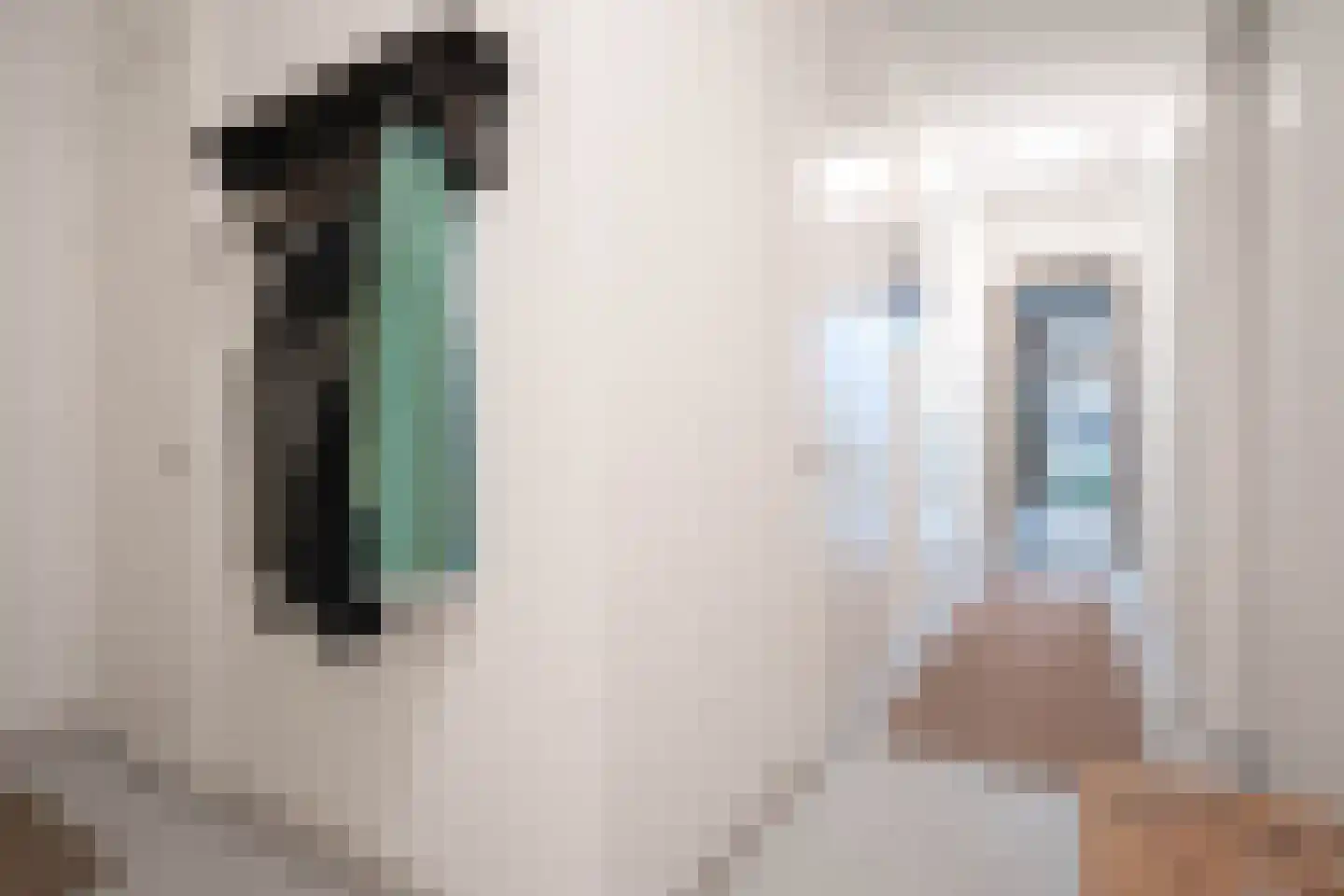 Julianastraat 116 Dedemsvaart thumbnail 12