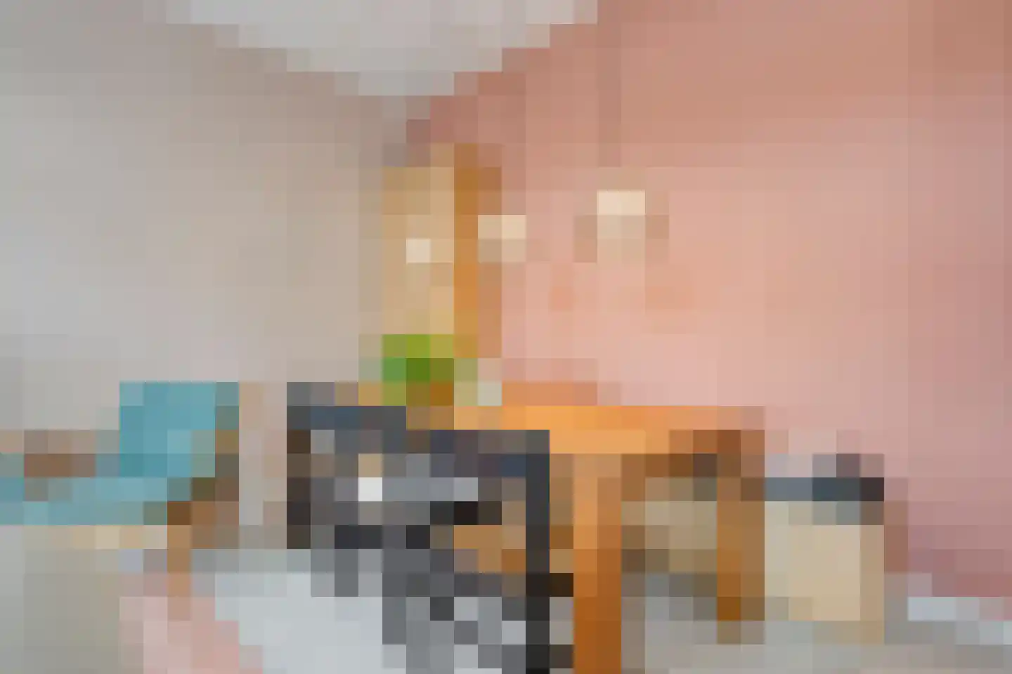 Julianastraat 116 Dedemsvaart thumbnail 19