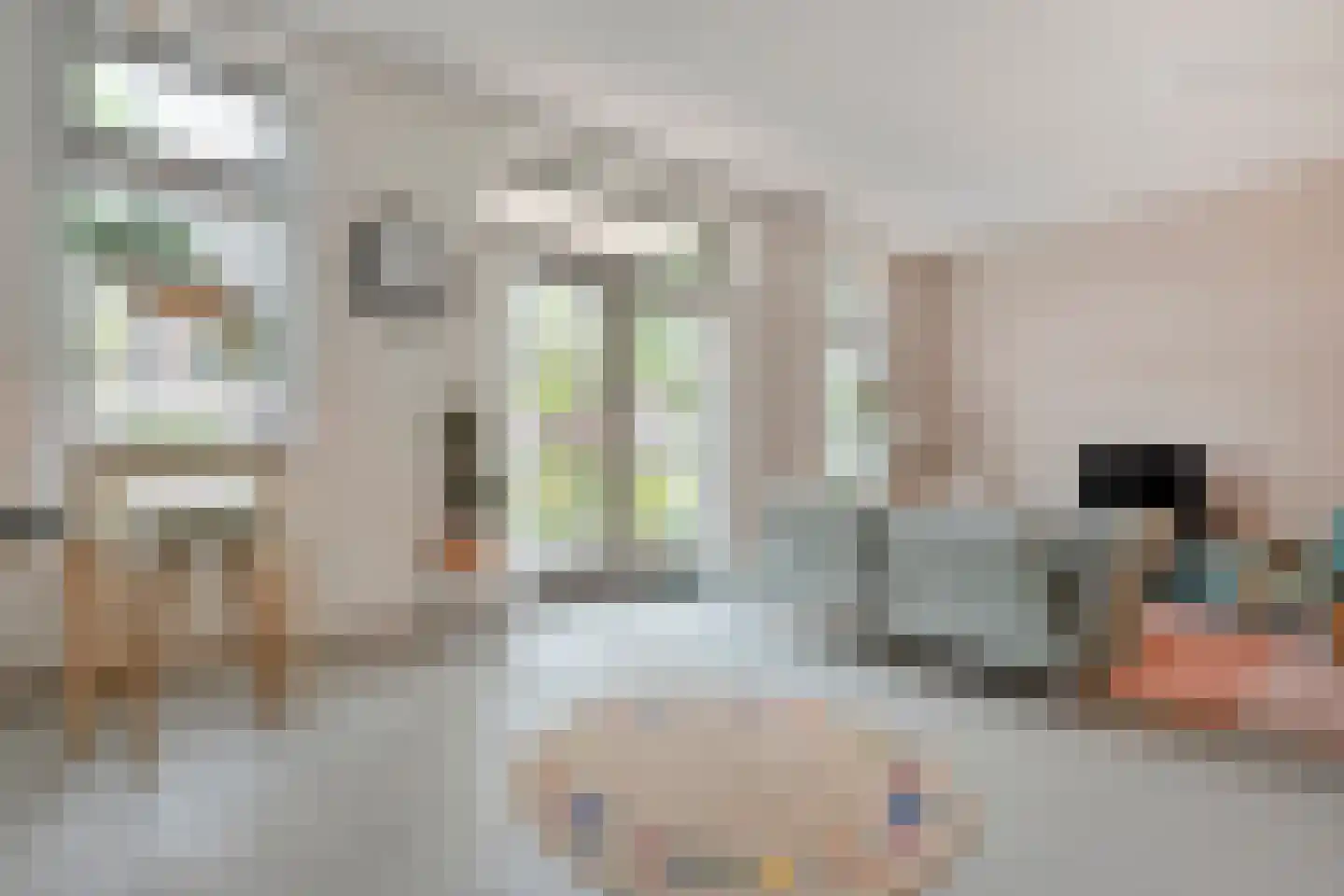 Julianastraat 116 Dedemsvaart thumbnail 20
