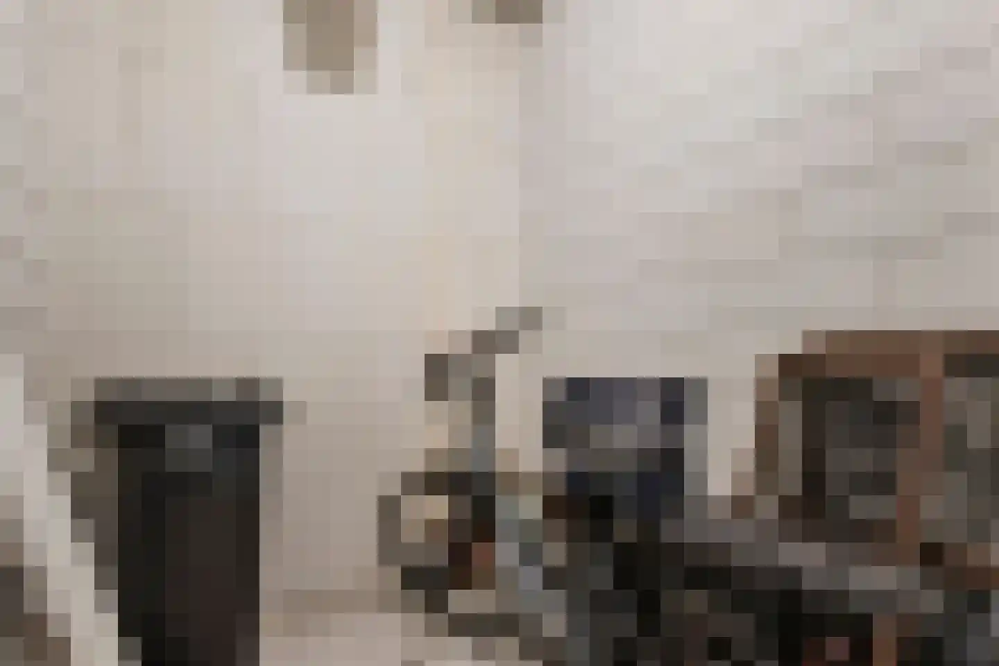Julianastraat 116 Dedemsvaart thumbnail 31