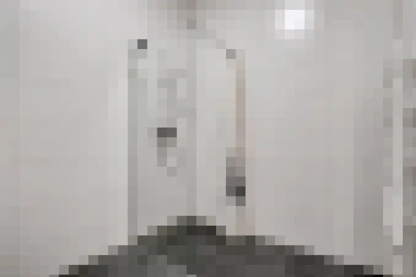 Julianastraat 116 Dedemsvaart thumbnail 32