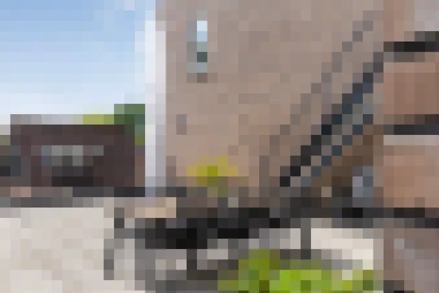 Julianastraat 116 Dedemsvaart thumbnail 36