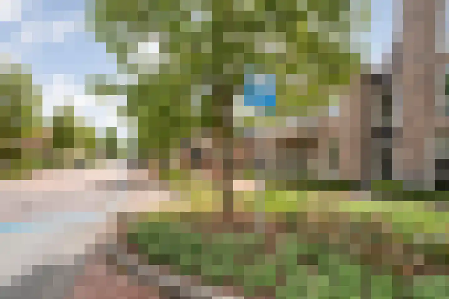 Julianastraat 116 Dedemsvaart thumbnail 4