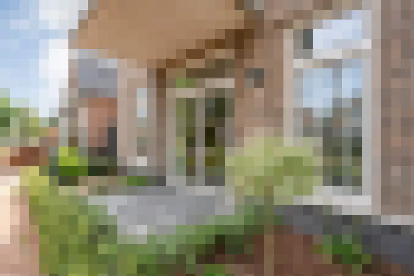 Julianastraat 116 Dedemsvaart thumbnail 7