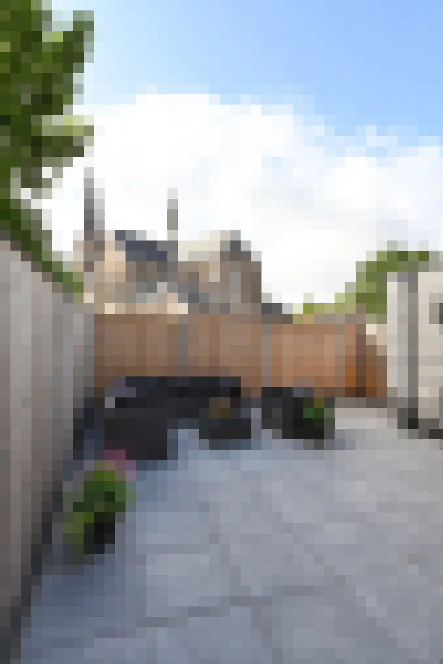 Julianastraat 12 a Nieuw-Vossemeer thumbnail 12
