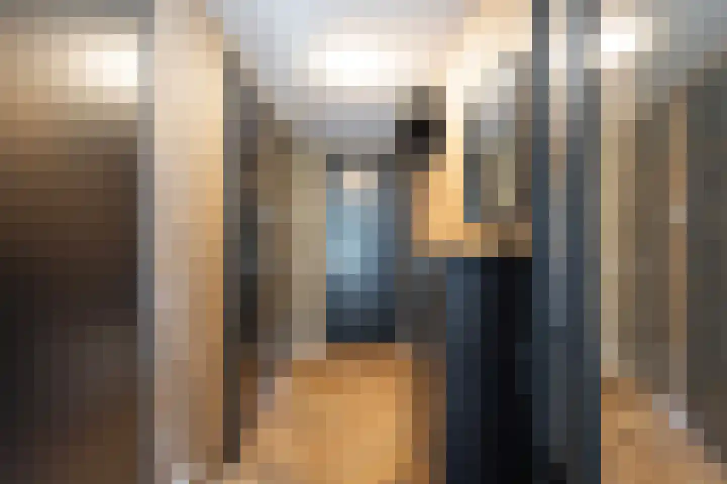 Julianastraat 12 Alphen aan den Rijn thumbnail 10