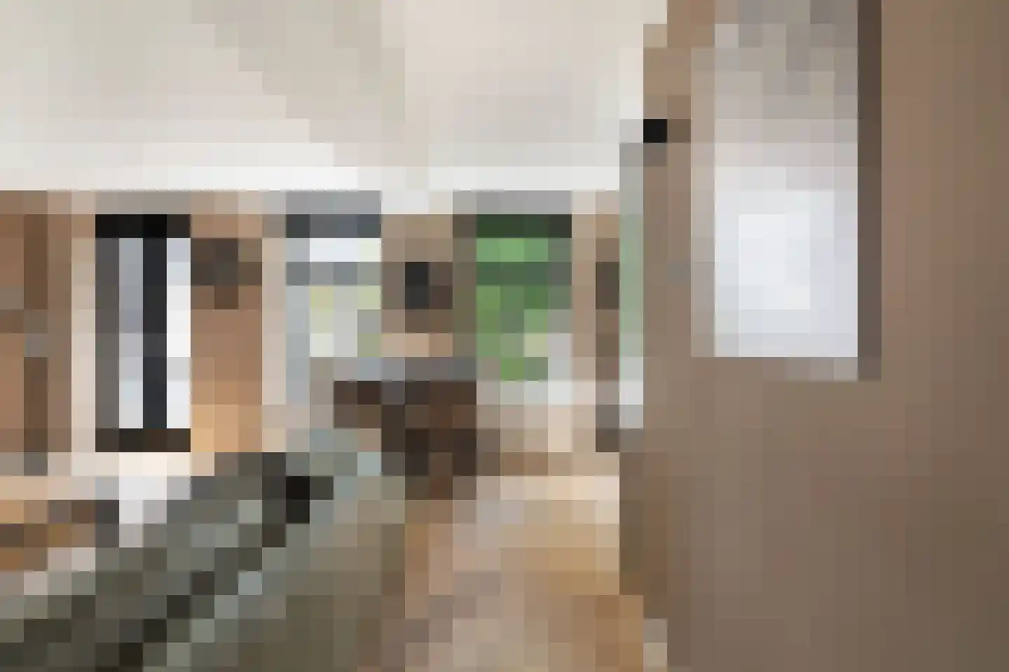Julianastraat 12 Alphen aan den Rijn thumbnail 12