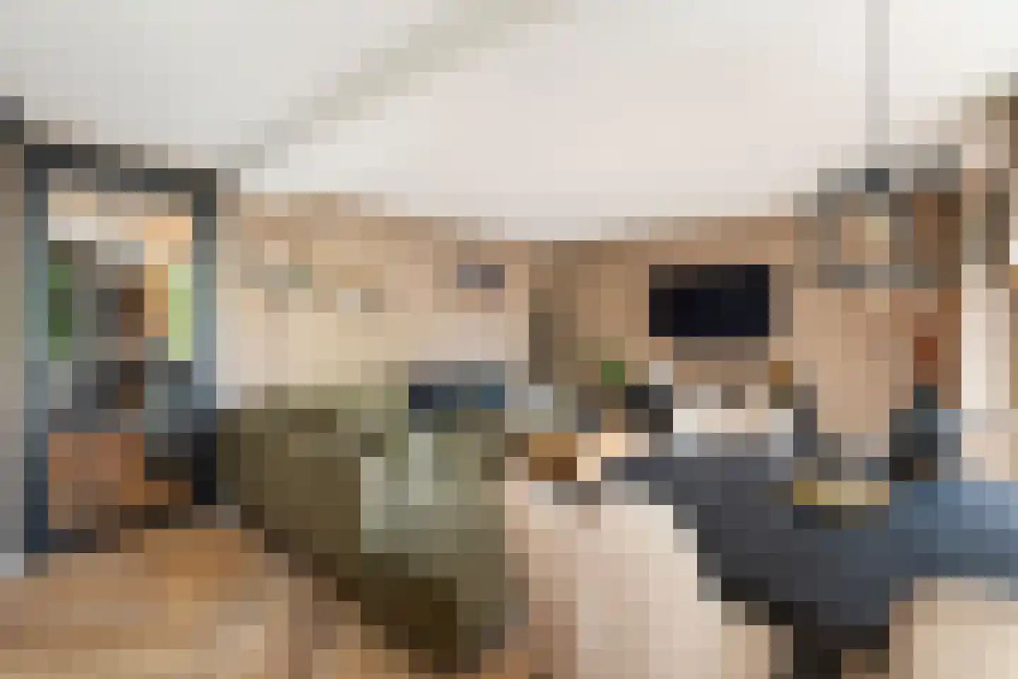 Julianastraat 12 Alphen aan den Rijn thumbnail 13