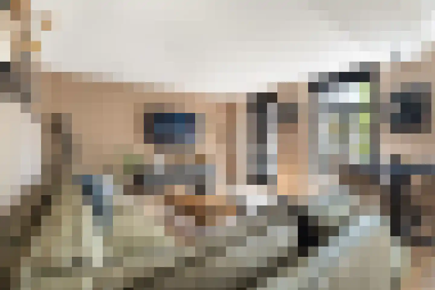 Julianastraat 12 Alphen aan den Rijn thumbnail 15