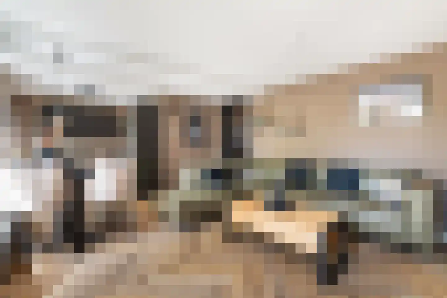 Julianastraat 12 Alphen aan den Rijn thumbnail 16
