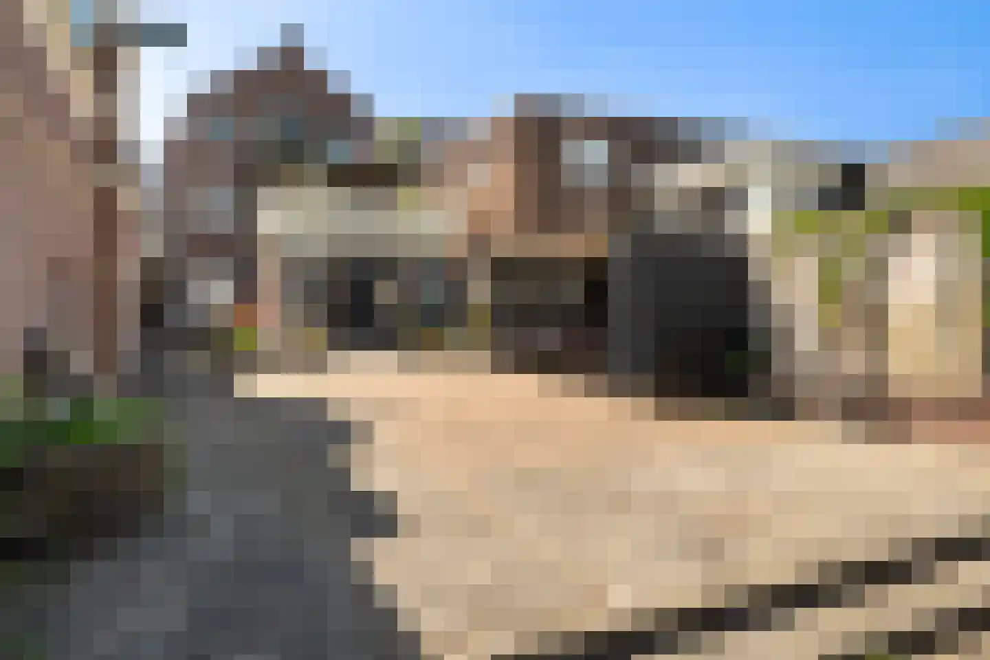Julianastraat 12 Alphen aan den Rijn thumbnail 32