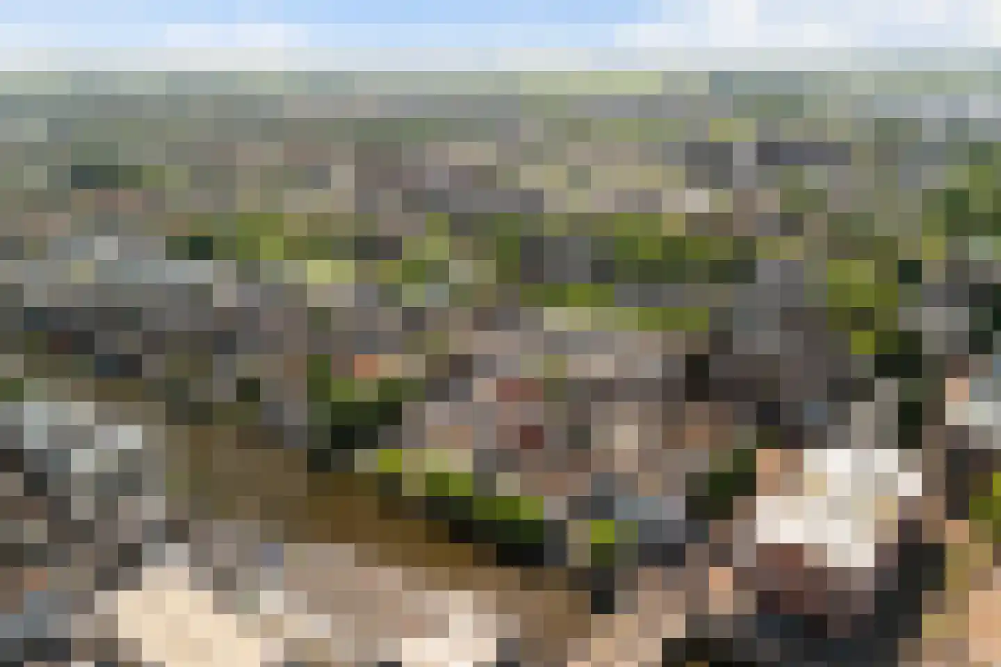 Julianastraat 12 Alphen aan den Rijn thumbnail 5