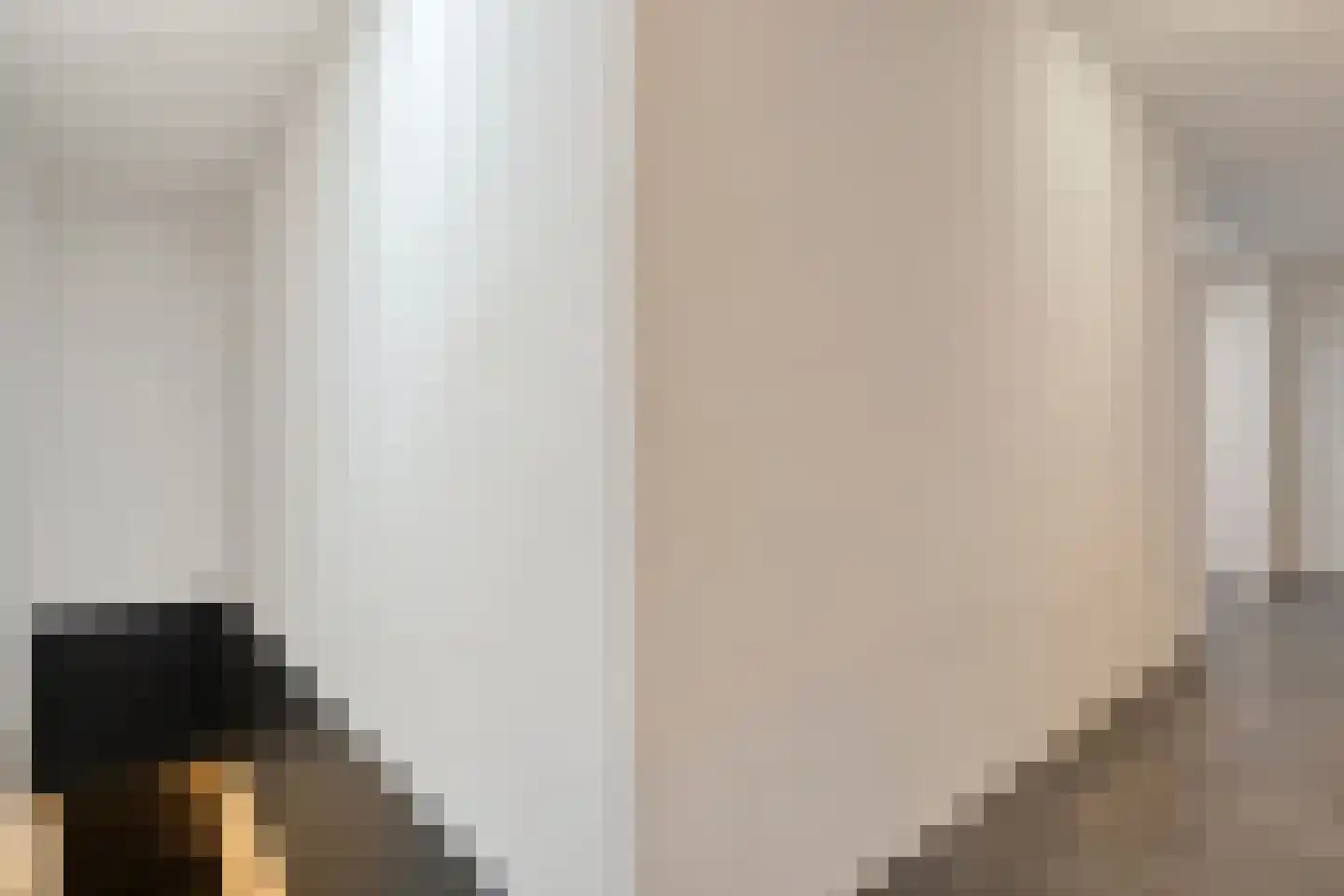Julianastraat 12 b Dedemsvaart thumbnail 12