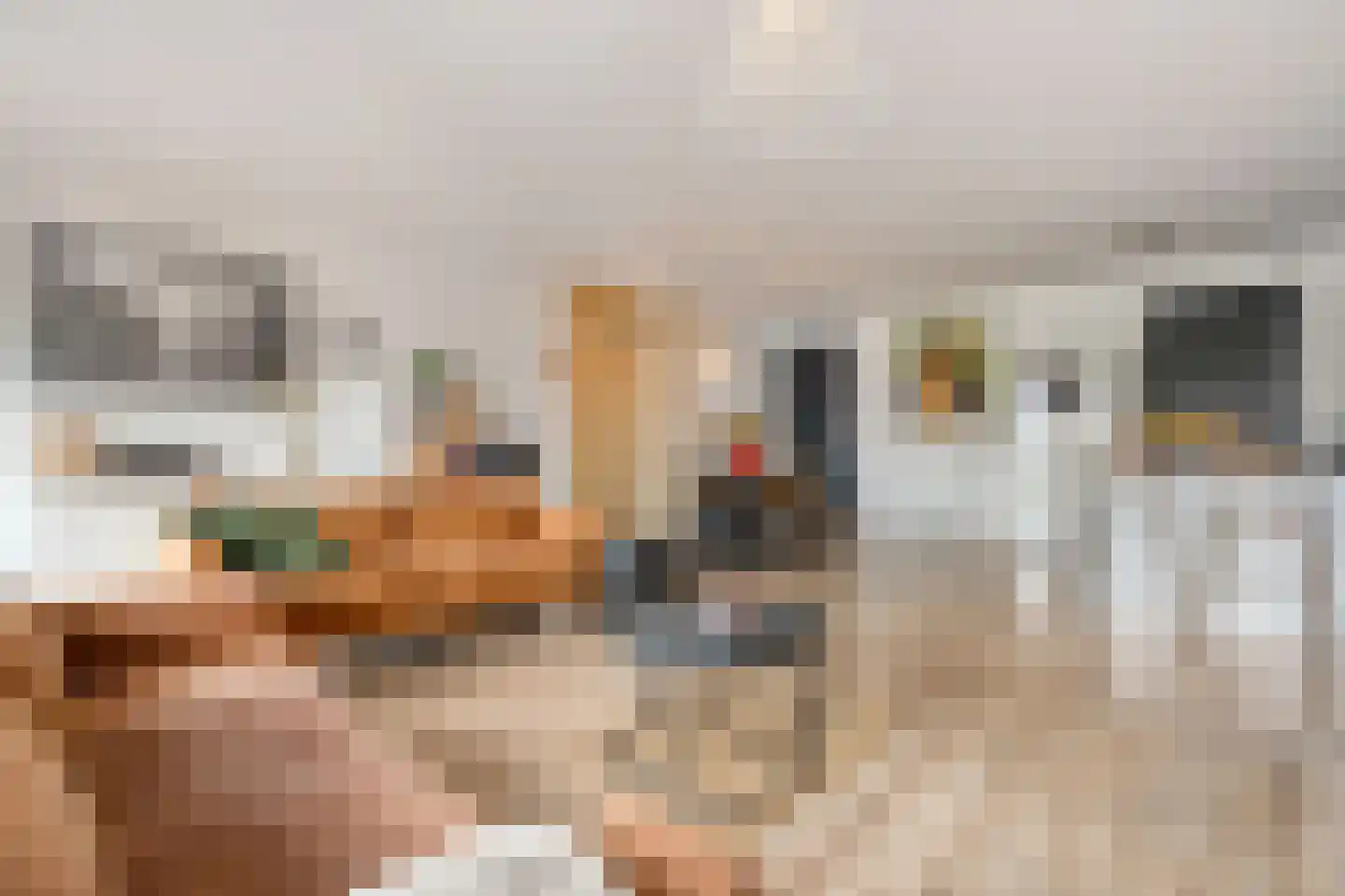 Julianastraat 12 b Dedemsvaart thumbnail 18